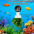 Magnetic Seaweed Feeding Clip for Saltwater Aquarium, Automatic Fish Feeder with Algae Magnet Clip, Glass Tank Accessory