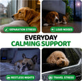 Hemp Calming Chews for Dogs - Advanced Dog Calming Chews - 170 Chews - Anxiety Relief Treats - Separation Aid, Barking, Stress Relief, Thunderstorms - Melatonin - Hemp Oil - Made in USA