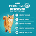 IAMS Proactive Health Dry Cat Food, Indoor Weight and Hairball Care Cat Food Dry Recipe, with Real Chicken in Every Bite, 7 lb. Bag