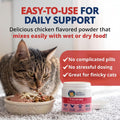 Under the Weather Taurine for Cats | Vet Formulated Chicken Flavor Taurine Powder Supplement for Cats and Kittens | Supp