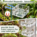 Windspeed 2+1P 1.8 inch Mini Jumping Spider Feeding Dish Magnet Tarantula Water Bowl for Spider Feeder Water Dish for Ta