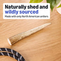 Basics Dog Elk Antler Chew, Naturally Shed, Whole, Large 8-9.5 inches, Long Lasting for Aggressive Chewers, Best for Dog