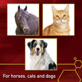 Vita Flex Ultra Pure Joint Supplement for Dogs, Horses & Cats, 4 Pounds – MSM Supplement, Equine MSM Powder for Healthy 