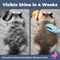 Cat Shampoo & Conditioner 2-in-1, waterless Bath — Hydration & Itch Relief — Detangles & Soothes Dry Skin, Anti-Static — Oatmeal, Aloe, Silk Protein — Low-Residue & pH-Balanced — 500 mL + Glove