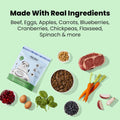 The Pets Table, Bundle of Beef & Berries Grain-Free Air-Dried Dog Food, 48-Ounce Bag + Beef Limited Ingredient Air-Dried