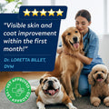 StrellaLab Fish Oil Omega 3 Treats for Dogs (180 Treats) - Allergy & Itch Relief - Skin & Coat Supplement - Joint Health - Wild Alaskan Salmon Oil - Shedding, Itchy Skin Relief - Omega 3 6 9 - EPA&DHA