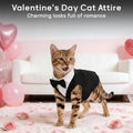PUMYPOREITY Cat Tuxedo Suit Formal Wear with Bow Tie, Soft Skin-Friendly Cat Costumes for Cats Only, Elegant Outfit for Male Female Cats, Perfect for Wedding Birthday Photo Shoots, 2XL, Black