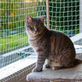 Piowet Cat Balcony Net Cat Netting Balcony Rail Net Cat PET Balcony Anti Fall Netting Cat Fence Nets Transparent Nylon Pet Mesh Fence Anti Fall Netting for Balcony Window Stairs (10 * 33ft, White)