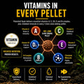 Xtreme Cichlid Peewee 1.5 mm Pellets - Proven Nutrition for Cichlids - Balanced Amino Acids, Boost Immune & Digestive He