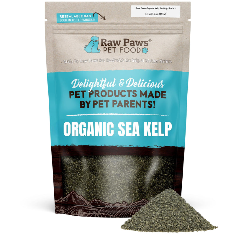 Raw Paws Organic Kelp Powder for Dogs & Cats (16-Ounce) - Supports Thyroid, Digestive & Immune Health - Dried Sea Kelp for Dogs - Seaweed Powder Supplement
