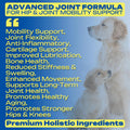 Glucosamine Joint Supplement for Dogs Joint Pain Relief – Glucosamine Chondroitin MSM & Turmeric Hip & Joint Support Che