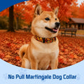 Kazazoo Martingale Collar for Dogs with Quick Release Buckle Adjustable Soft Durable Dog Collar for Large Dogs No Pull T