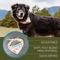 Wilderdog Dog Bandana with Lightweight Quick Drying Poly-Blend Mesh Material in