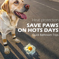 EXPAWLORER Anti Slip Dog Socks to Prevent Licking Paws, Dog Shoes for Hot Pavement, Dog Booties for Small Medium Large S