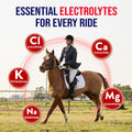 Horse Electrolytes Powder, Tasty Equine Hydration, Just Add to Water, Crisp Apple Flavor, 5 Pound Bag, Made in the USA