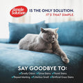Simple Solution Extreme Cat Stain Remover, Odor Eliminator, 32oz (2 Pack)