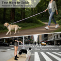 APakBak Double Handle Dog Leash 6 FT Reflective 2 Handle Traffic Lead with Padded Grip, Heavy Duty Nylon Leash for Walking Training, for Small Medium Large Dogs, Purple