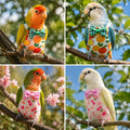 2Pcs Bird Diaper Reusable with 50 Pads, Cute Parrot Nappy Waterproof Inner