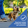 Nature's Recipe Grain Free Small Breed Dry Dog Food, Chicken, Sweet Potato & Pumpkin Recipe, 4 lb. Bag