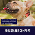 Leash Boss Martingale Collar for Dogs - Steel Chain | Reflective Nylon Dog Collar for Large Dogs, Medium and Small Dogs 