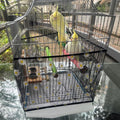 Large Bird Cage Seed Catcher Net Fits Round and Square Cages for Parakeet, Macaw, African Grey, M