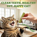 Just Try 500g Cat Grass Sticks,Cat Grass Treats for Teeth Cleaning Hairball
