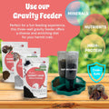 Hermit Crab Supplement Bundle – Greensand, Oyster Shell Powder and Worm Castings – Molting Support, Natural Calcium, Min