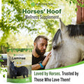 Silver Lining Herbs Laminae Hoof Supplements for Horses - 1 lb