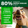 Greenies Veterinarian-Recommended Natural Dental Dog Treats, Dental Chews for Dogs, Regular Size, Variety Pack, (3) 12 oz. Packs, 36 Count