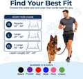 The Buddy System Adjustable Hands Free Dog Leash, Hand-Free Leash for Running, Jogging, Walking, Hiking and Training Service Dogs, Versatile All Dog Sizes - Made in USA - Regular, Black