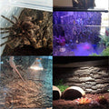 4PCS Cork Terrarium Background 15.7x11.8in Natural Cork Large Bark Climbing Mat Habitat Decoration Chameleons, Lizards, 