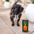 Smolotov Premium Dog Poop Bags, Unscented, Leakproof, 4 Rolls (60 Count) - Stable Genius
