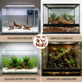 7PCS Driftwood for Aquarium, Wood Decor for Aquascaping, Reptile Habitat Branch Ornament and Home Centerpiece