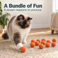 Rawry Foam Ball Cat Toy for Indoor Cats & Kittens,12 Pack, Orange
