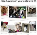 AGYM Cat Toys for Indoor Cats, 30 Pack Interactive Cat Spring Toys, Durable Colorful Plastic Spiral Springs for Kitten Hunt, Swat and Bite, Bulk Cat Toys
