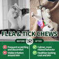 Flea and Tick Chews for Cats - 200 Soft Chews Natural Flea Tick Support for Cat All Breeds & Ages - Nourishes Skin & Coat Health - Energy Support - Chicken Flavor Soft Chew