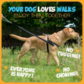 2 Hounds Design Freedom No Pull Dog Harness, Adjustable Harness and Leash Set, Easy Walking & Comfortable Control, Fits Small, Medium & Large Dogs, Solid Colors, Made in USA, 1" LG, Teal