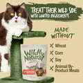 Wildly Natural Crunchy Cat Treats, Protein Cat Treats, Salmon Flavor, 2.5oz