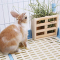 Bunny Hay Rack Guinea Pig Hay Feeder Chinchilla Hay Holder Rabbit Food Dispenser Natural Wooden Hamster Rabbit Cage Acce