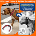 Mayerzon Hidden No Pull Dog Collar for Large Medium Small Dogs, Martingale