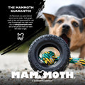 Chew King by Mammoth Set of 2 Glowing Fetch Ball, Durable Bouncy Interactive Toy for Pets & Dogs, Lightweight, 3 Inch, F