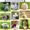 600g Organic Apple Sticks Small Animals Molar Wood Treats Toys for Chinchillas Guinea Pig Rabbits Hamster Gerbil Parrot 