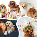 VioraWhite 6 Pcs Pet Heart Sunglasses Summer Cute Pet Dog Sunglasses Retro Small Cat Glasses Photos Props Dolls Glasses 