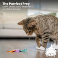 Catstages Kitty Chew Wheel, Dental Cat Toy with Catnip Oil, Teeth Cleaning, Healthy Chewing, Boredom Relief, Kicking & B