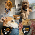 Halloween Dog Bandanas No Tricks Just Treats Costumes for Large Pet