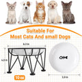 Elevated Ceramic Cat Bowls – Whisker-Friendly & Anti-Vomiting, Non-Slip Raised Cat Food Dishes – Stylish, Safe & Hygieni