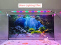 Underwater Cave Aquarium Background Rocks Water Plants Sunburst Landscape Fish Tank Background 24x12 Inches PVC Glass Co