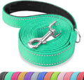 Reflective Dog Leash with Padded Handle for Medium Large Dogs