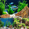 VOKOY 2.5lb Natural Dragon Stones, Aquarium Rocks Decoration Aquascaping Stone Landscaping Model for Fish Tank Decor Ter