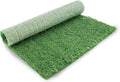 Small (Pack of 1)